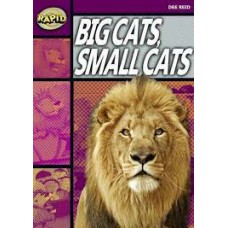 RAPID STAGE 1 SET A: BIG CATS, SMA                          