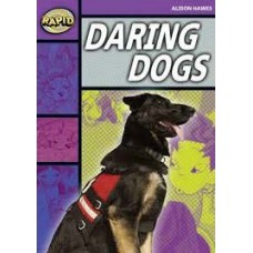 RAPID STAGE 1 SET B: DARING DOGS                            