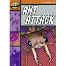 RAPID STAGE 4 SET B: ANT ATTACK                             