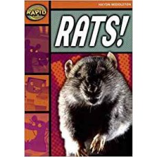 RAPID STAGE 4 SET B: RATS!                                  