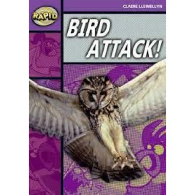 RAPID STAGE 1 LEV B:  BIRD ATTACK!                          