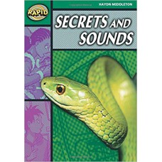 RAPID STG 5 SET B: SECRETS AND SOUNDS                              
