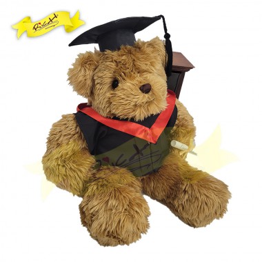 Graduation Bear (43cm) - 10A0204DG