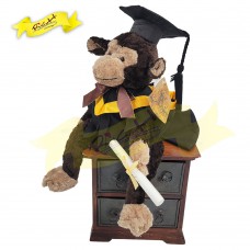 畢業馬騮仔/猴子 (35cm) - 3F437RG