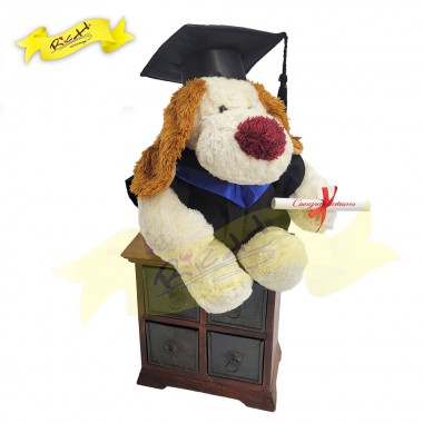 Graduation Dog (38cm Head to Toe) (22cm Sitting Size) - (6J1006NG)